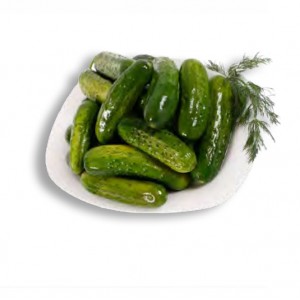 FRESH SALTED CUCUMBERS - MARINATED IN PAIL